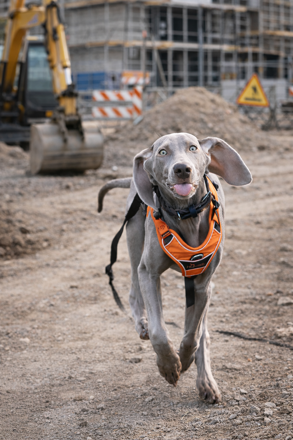 Paula auf der Baustelle